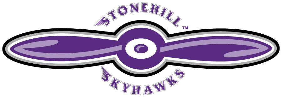 Stonehill Skyhawks 2005-2017 Secondary Logo v2 diy iron on heat transfer